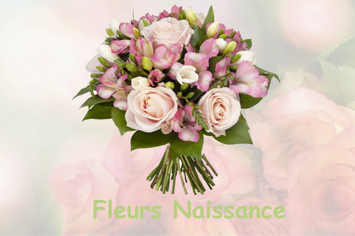 fleurs naissance SECHILIENNE