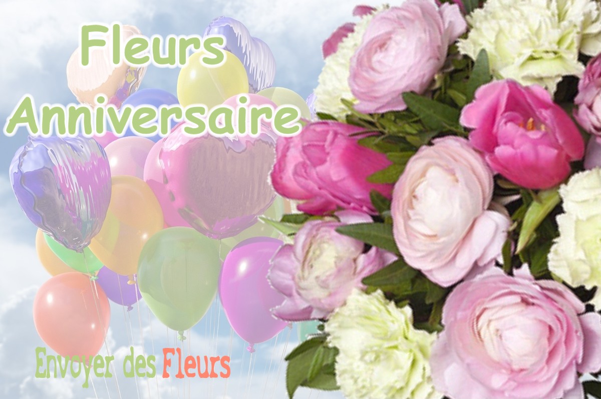 lIVRAISON FLEURS ANNIVERSAIRE à SECHILIENNE