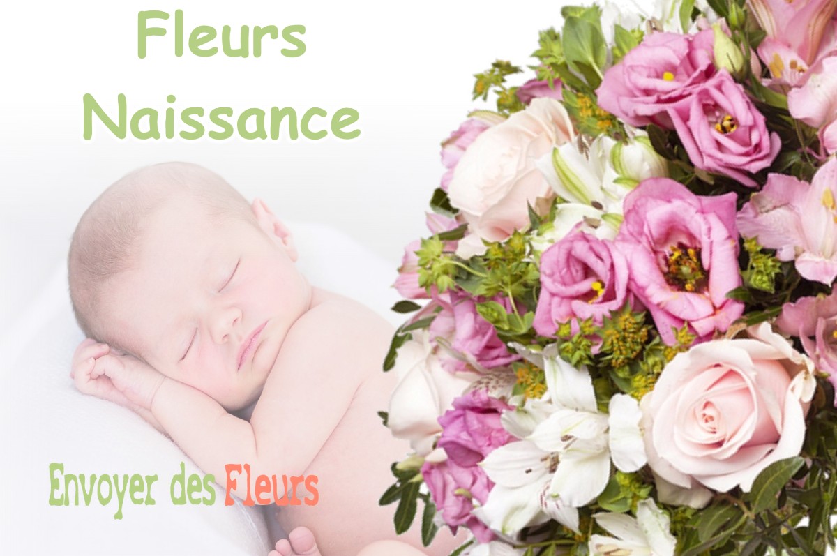 lIVRAISON FLEURS NAISSANCE à SECHILIENNE